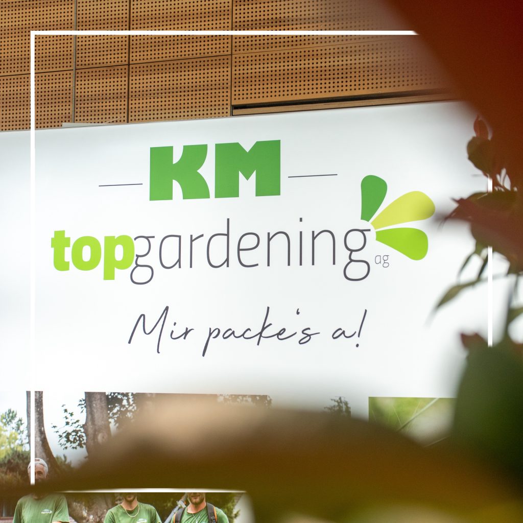 Top Menage Schmid – Bild 1 Top Menage Schmid – Bild 1